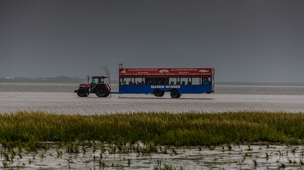 Mandø Bussen onderhoudt een toeristische busdienst naar Mandø