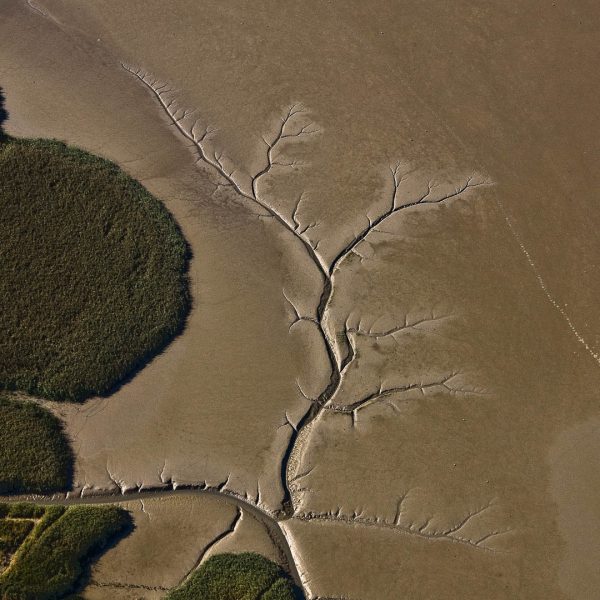 De Dollard bij Nieuw Statenzijl