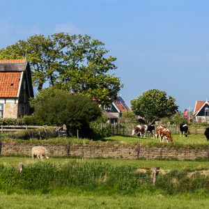 Zicht op Oost