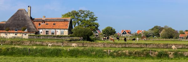 Zicht op Oost