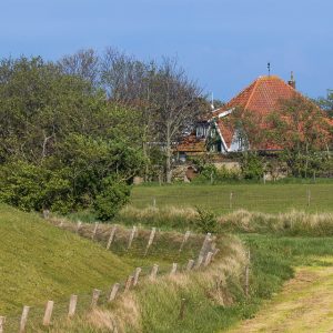 Zicht op Oost