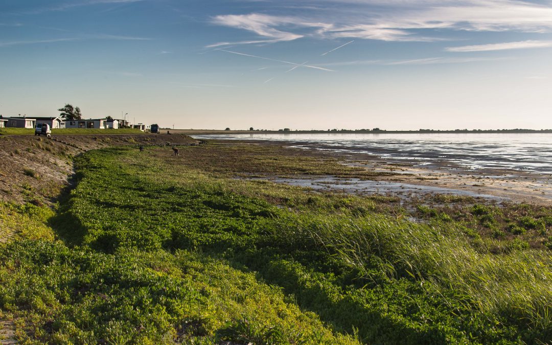 Het wad bij Balgzand bij eb.