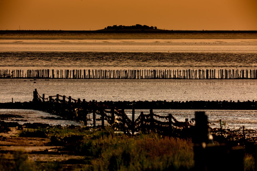Gezicht op Hallig Langeness